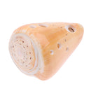 8 Holes Ocarina Shell Xun F Key Musical Instrument for Musical Lovers