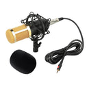 Condenser Microphone Large Diaphragm MIC for Broadcasting/Studio Recording