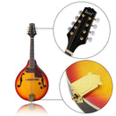 Vintage 1 Set Spruce Wood A Style 8 String Electric Mandolin Sunburst Finish for Beginner Music Lovers