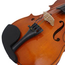 Basswood Violin 3/4 Size Violin Fiddle Basswood Bow Rosin w/ Carry Bag