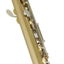 SLADE 16 Hole 17 Key Gold C Flute Set with Silver Key for Music Lovers