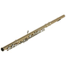 SLADE 16 Hole 17 Key Gold C Flute Set with Silver Key for Music Lovers