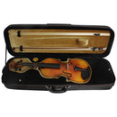 4/4 Full Size Violin Case, Professional Violin Hand Case with Hygrometer, Lightweight Portable Carrying Bag with Backpack Straps, Black
