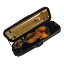 Waterproof 4/4 Full Size Violin Case, Professional Violin Hand Case with Hygrometer, Lightweight Portable Carrying Bag with Backpack Straps, Black