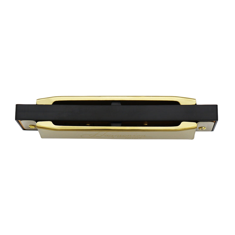 IRIN 10 Hole 20 Tones C Key Blues Harmonica Musical Instrument