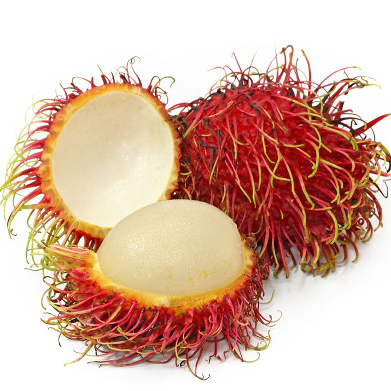 Egrow 5Pcs/Pack Rambutan Seeds Red Fruits Bonsai Plants Home Garden Ornamental Trees