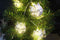 KCASA 1.8M 10 LED Metal Owl String Lights LED Fairy Lights for Festival Christmas Decoration