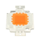 Full Spectrum 10W Pink LED Plant Grow Light Lamp Chip for Garden 9-12V