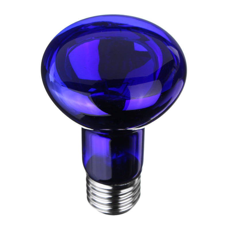 E27 25/40/50/60/75/100W R63 Blue Shell Emitter Lamp Heat Reptile Bulb Light AC220-240V