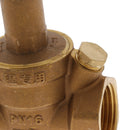 DN25 1-Inch Water Pressure Regulator Valve Lead-free Water Pressure Reducer
