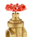 Solid DN20 Brass Gate Valve Water Air Pipe Hose Valve Pipe Fitting Mpa: 1.6Mpa