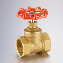 1'' DN25 Brass Gate Valve 1.6Mpa