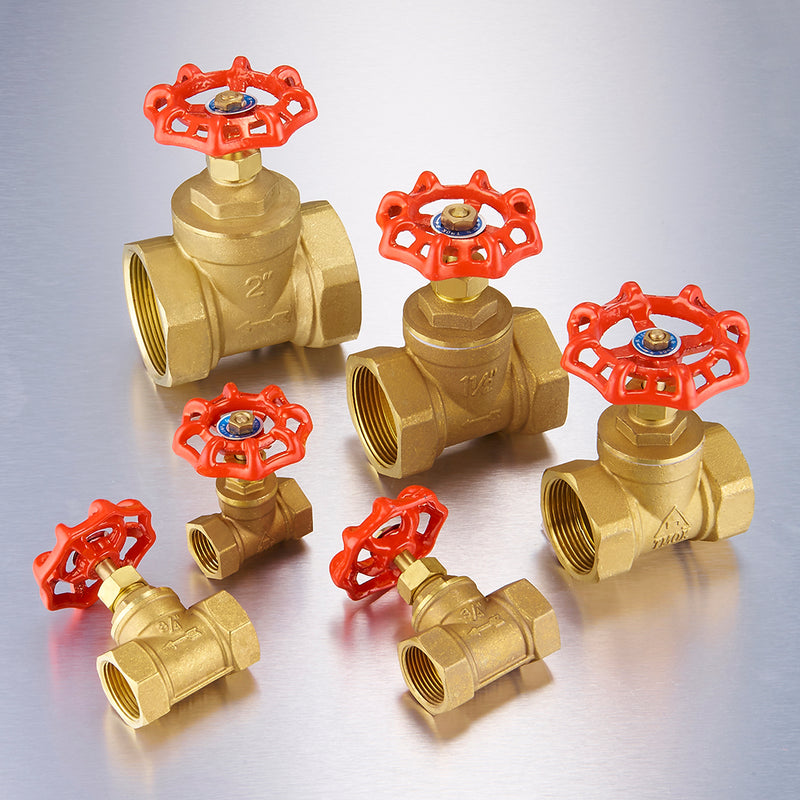 1'' DN25 Brass Gate Valve 1.6Mpa