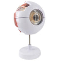 Eyeball Magnification Model Adult Eye Eyeball Anatomical Magnification Model 6.7Ã—5.9Ã—10.6 inches
