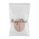 Advanced Realistic Anatomical Human Brain Model Hand-assembly For Teaching