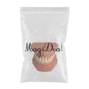 Dental Teaching Adult Standard Typodont Demonstration Teeth Model