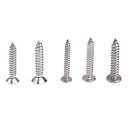 6# 8# 10# 12# Flat Round Head Phillips Tapping Screws Bolts Assortment Kit