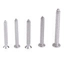 6# 8# 10# 12# Flat Round Head Phillips Tapping Screws Bolts Assortment Kit