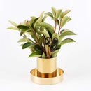 Modern Gold Round Pencil Holder Pen Pot Desktop Organizer Accents Vase simple metal plated