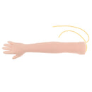 Advanced IV Practice Venipuncture Injection Training Human Arm Model Medical, Nurse Practice Aid