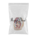 Lifesize PVC 1:1 Human Female Pelvic Cavity Reproductive & Urinary System