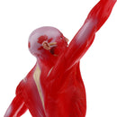 Anatomical Muscular Human Figure Model Medical Anatomy Skeleton Detail Muscle Structure