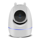 Loosafe LS-Y26 Panoramic 1080P Built In AP Hotspot WIFI Camera H.264 Infrared Night Version M-otion Detection Baby Monitors