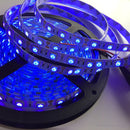 5M SMD 5050 UV Ultraviolet Waterproof Purple 300 LED Flexible Tape Strip Light Money Detection DC12V