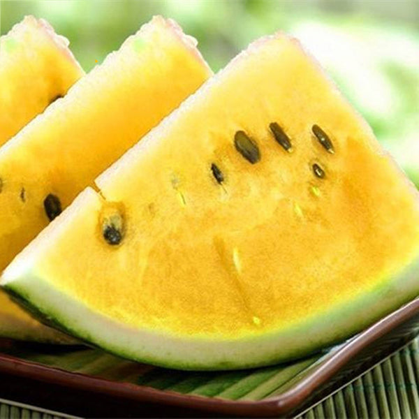 Egrow 50Pcs/Pack Watermelon Seeds Garden Colorful Edible Green Yellow White Watermelon Seeds