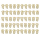 50pcs Exterior Push Button Spout Plug Moulding Clip For Mercedes-Benz W202 W210