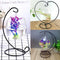 Hanging Clear Glass Ball Mini Fish Tank Aquarium Home Desktop Decor with Stand