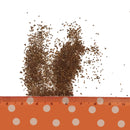 Egrow 100Pcs/Bag Petunia Seeds Petunia Plants Hanging Bonsai Mini Petunia Flowers for Home Garden