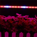 5PCS 50CM R:B 5:1 SMD5050 LED Strip Grow Light Hydroponic Indoor Veg Flower Plant Lamp DC12V