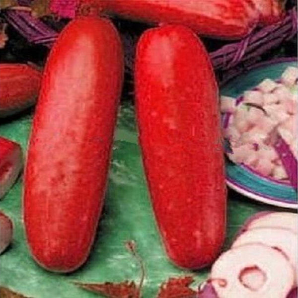 30Pcs Red Cucumber Seeds Fruit Vegetables Seeds Rare Plant Bonsai Home Garden