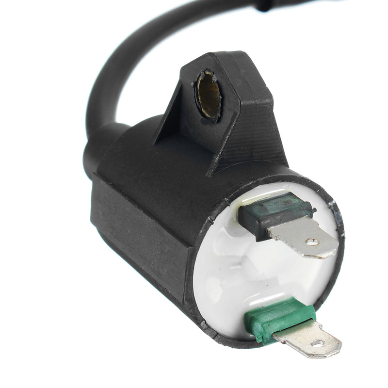 Ignition Coil Replaces For Pulsar PG1202S 72CC 900 1200 Watts Gasoline Generator