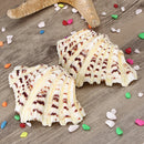 Living Room Ornaments Sea Shell Clam Tridacna Big Conch Natural 10-12CM Fish Tank Decorations