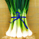 Egrow 100Pcs/Bag Green Scallion Seeds Season Vegetable Seeds Special High-yielding Vegetable Seeds