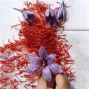 Egrow 1000Pcs/Pack Saffron Seeds Outdoor Flower Bonsai Iran Saffron Potted Plant For Home Garden Planting