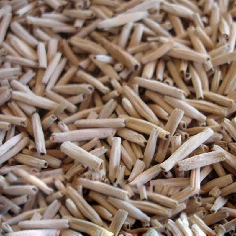 Egrow10Pcs/Bag Adenium Seeds Giant Two-colors Adenium Pink Red Garden Flowers Seeds Bonsai Seeds