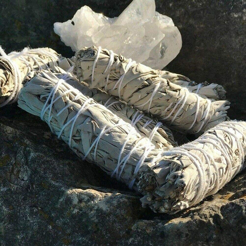 Egrow 100Pcs/Pack White Sage Seeds White Sage Bonsai Organic Herbs Salvia Apiana Medicinal Rare Perennial Leaves Heirloom Natural Plant