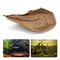 10Pcs Aquarium Natural Terminalia Leaves Reduce Ph Improve Water Quality Water Purifier