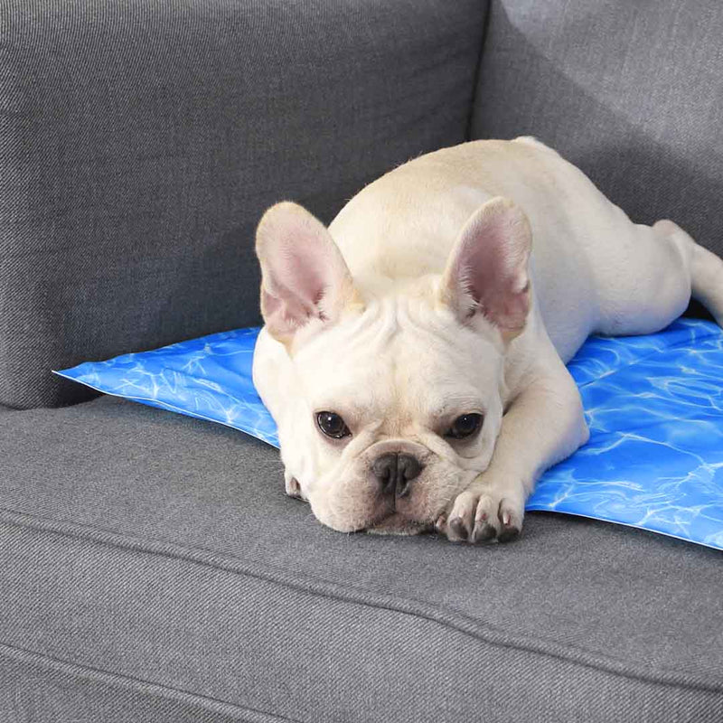 Pet Cooling Mat From Xiaomi Youpin Water Ripple Blue Long-lasting Heat Dissipation Waterproof Cat Dog Pad