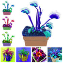Egrow 100 Pcs/Pack Flycatcher Seeds Giant Clip Venus Flytrap Potted Bonsai