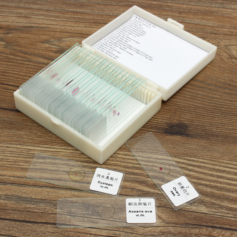 25Pcs Glass Prepared Basic Science Microscope Slides Sample Biology Pathology