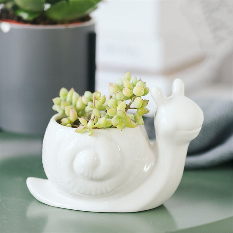 Ceramic Succulent Plant Container Flower Pot Planter Holder Vase Animal Shape Decorations
