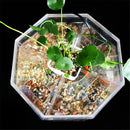 Mini Clear Acrylic Betta Aquarium Fish Tank Breeding Isolation Box Desktop Transparent Free Fish Tank Aquatic Supplies