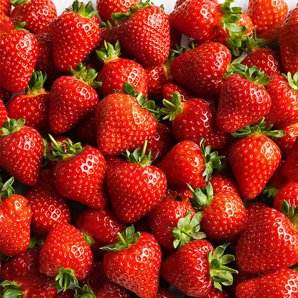 Egrow 100 Pcs/Pack Strawberry Tree Seeds Rare Fruit Strawberry Bonsai Seed Garden DIY Planting