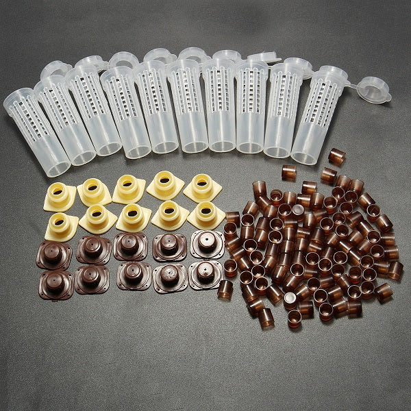 Rearing Cupkit Box Cupularve Tools Bee Keeper Tools Apiculture Bee Tool Set Beekeeping