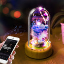 Rose Bottle Table Lamp Wireless bluetooth Speaker Rechargeable LED Night Light Home Decoration
