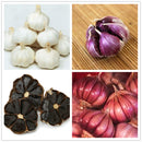 Egrow 100 Pcs/Bag Multi-petals Red Garlic Seeds Organic Vegetable Kitchen Food Seasoning Home Bonsai